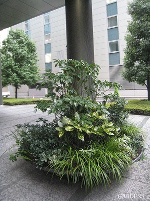 s-IMG_8391.jpg