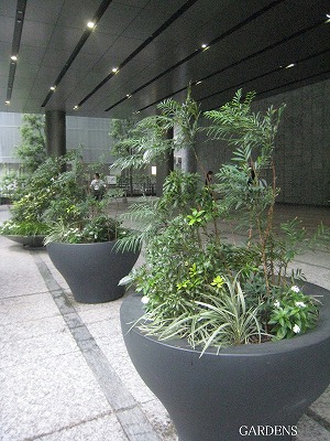 s-IMG_8393.jpg