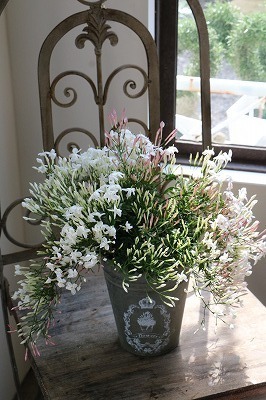 s-IMG_8514.jpg