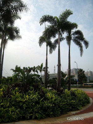 s-IMG_8681.jpg