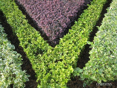 s-IMG_8705.jpg