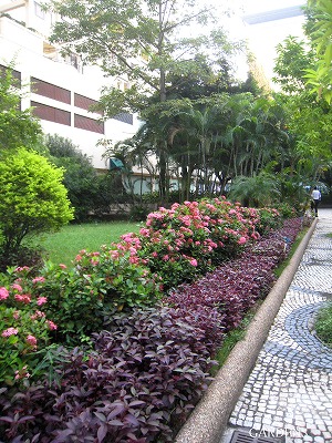 s-IMG_8721.jpg