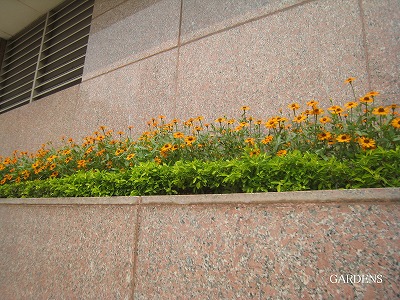 s-IMG_8779.jpg