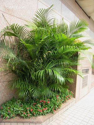 s-IMG_8780.jpg
