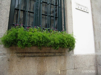 s-IMG_8824.jpg