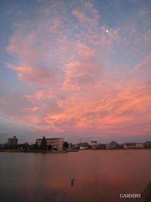 s-IMG_8903.jpg