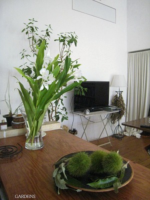 s-IMG_8995.jpg