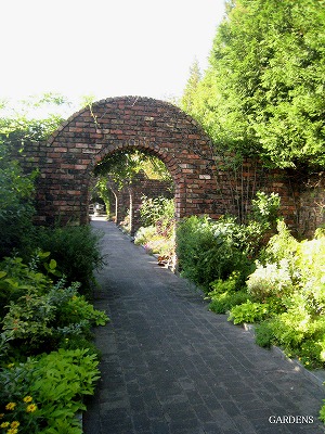 s-IMG_9023.jpg