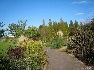 s-IMG_9040.jpg