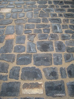 s-IMG_9089.jpg
