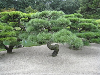 s-IMG_9347.jpg