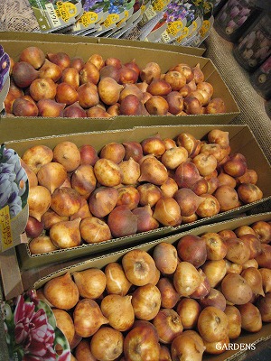 s-IMG_9537.jpg