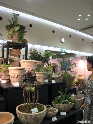 s-IMG_9564.jpg