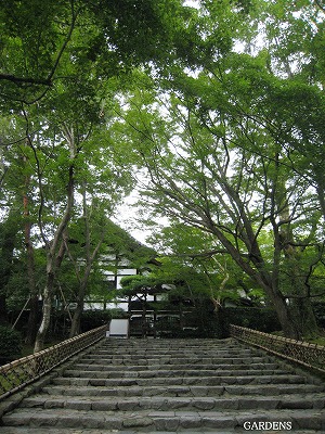 s-IMG_9589.jpg