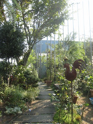 s-IMG_9889.jpg