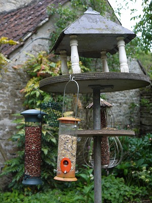 s-P1000940.jpg