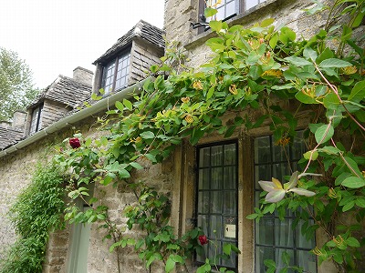 s-P1010371.jpg