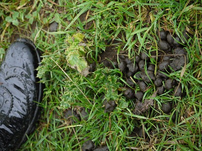 s-P1020255.jpg