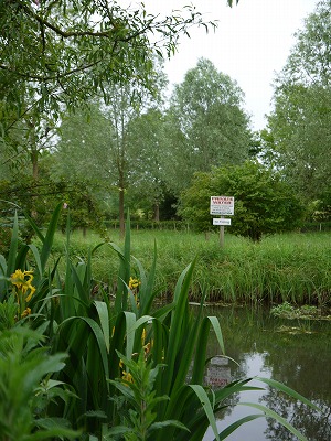 s-P1020267.jpg