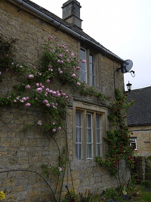 s-P1020270.jpg