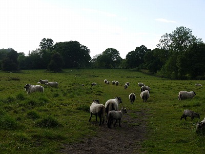 s-P1020412.jpg