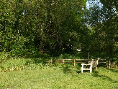 s-P1020558.jpg