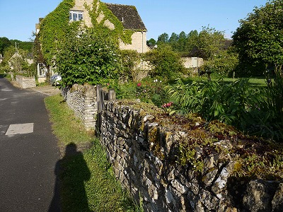 s-P1020573.jpg