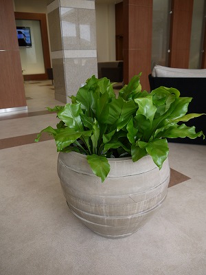 s-P1030051.jpg