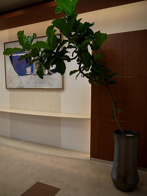 s-P1030055.jpg
