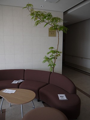 s-P1030074.jpg