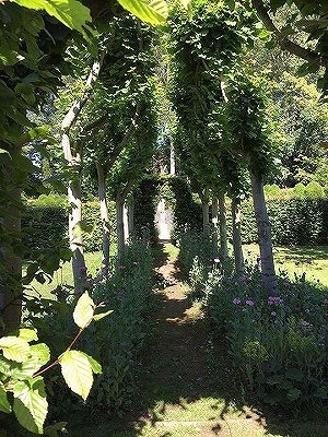 s-s-IMG_7361.jpg