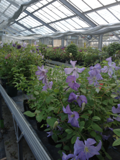 image-20130506202417.png