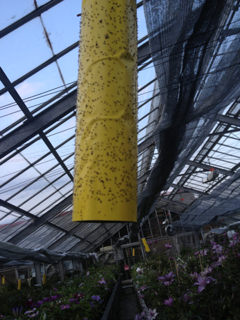 image-20130507014644.png