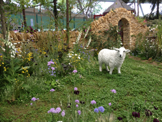 image-20130517113323.png