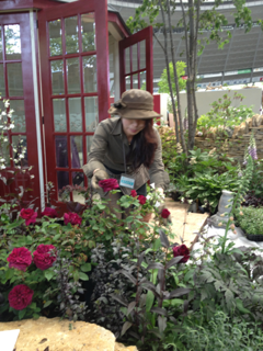 image-20130517122812.png