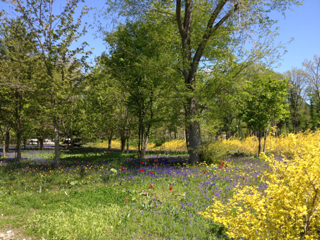 image-20130604194354.png